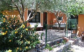 Il Vigneto 