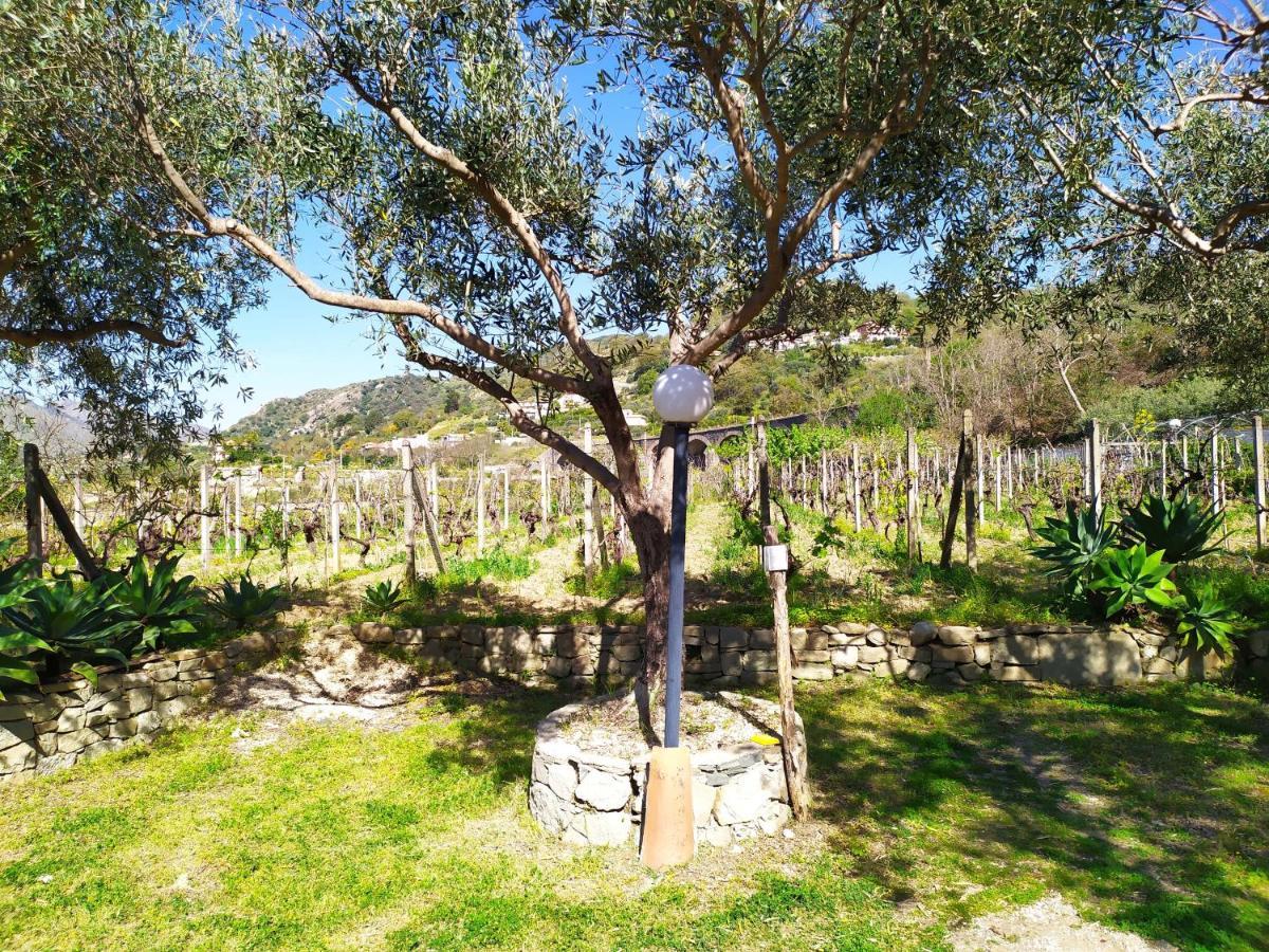 Il Vigneto "Cottage" Gaggi Exterior foto