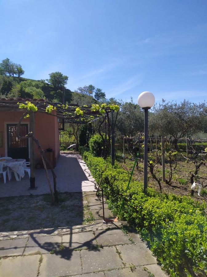 Il Vigneto "Cottage" Gaggi Exterior foto