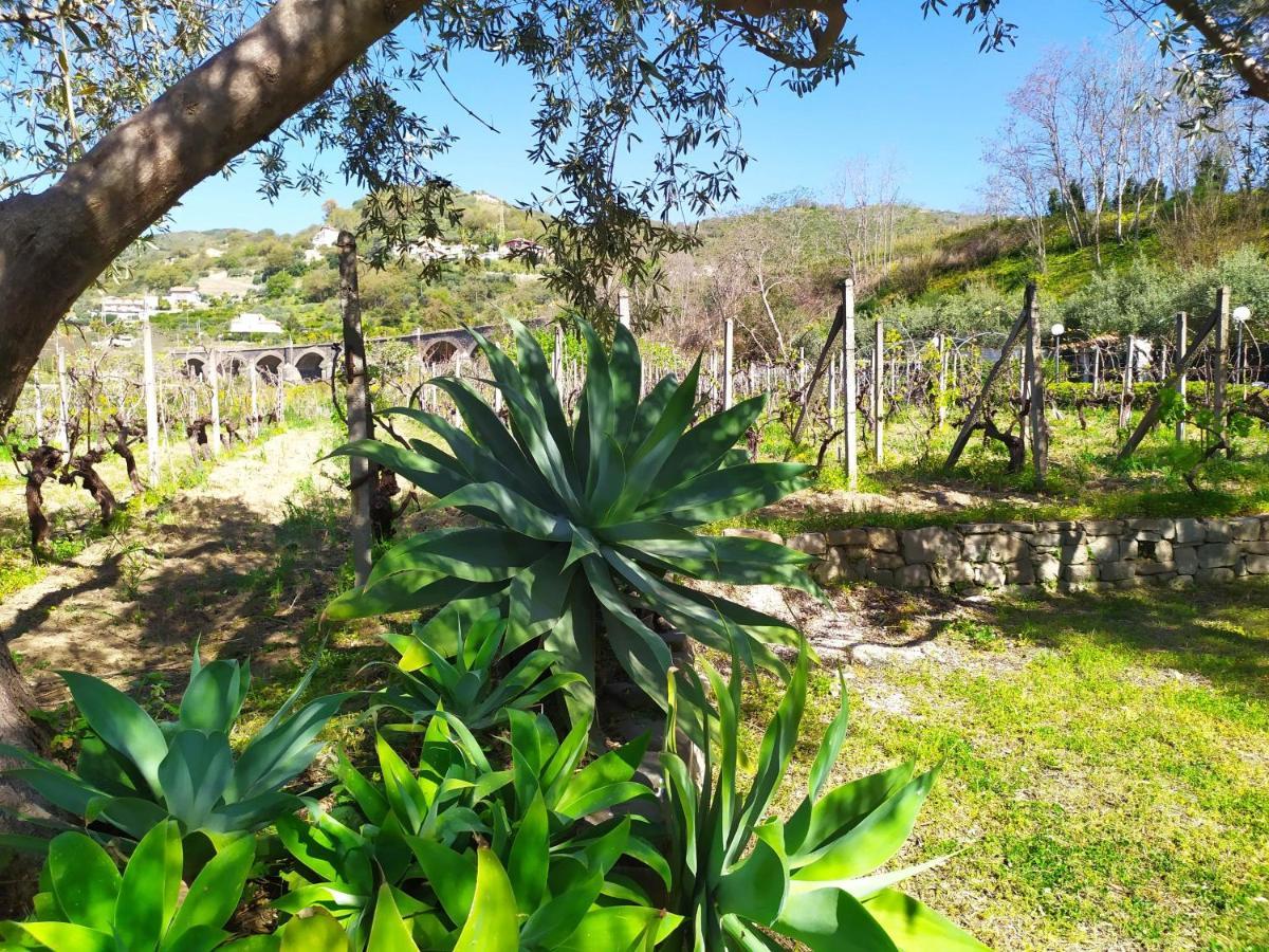Il Vigneto "Cottage" Gaggi Exterior foto