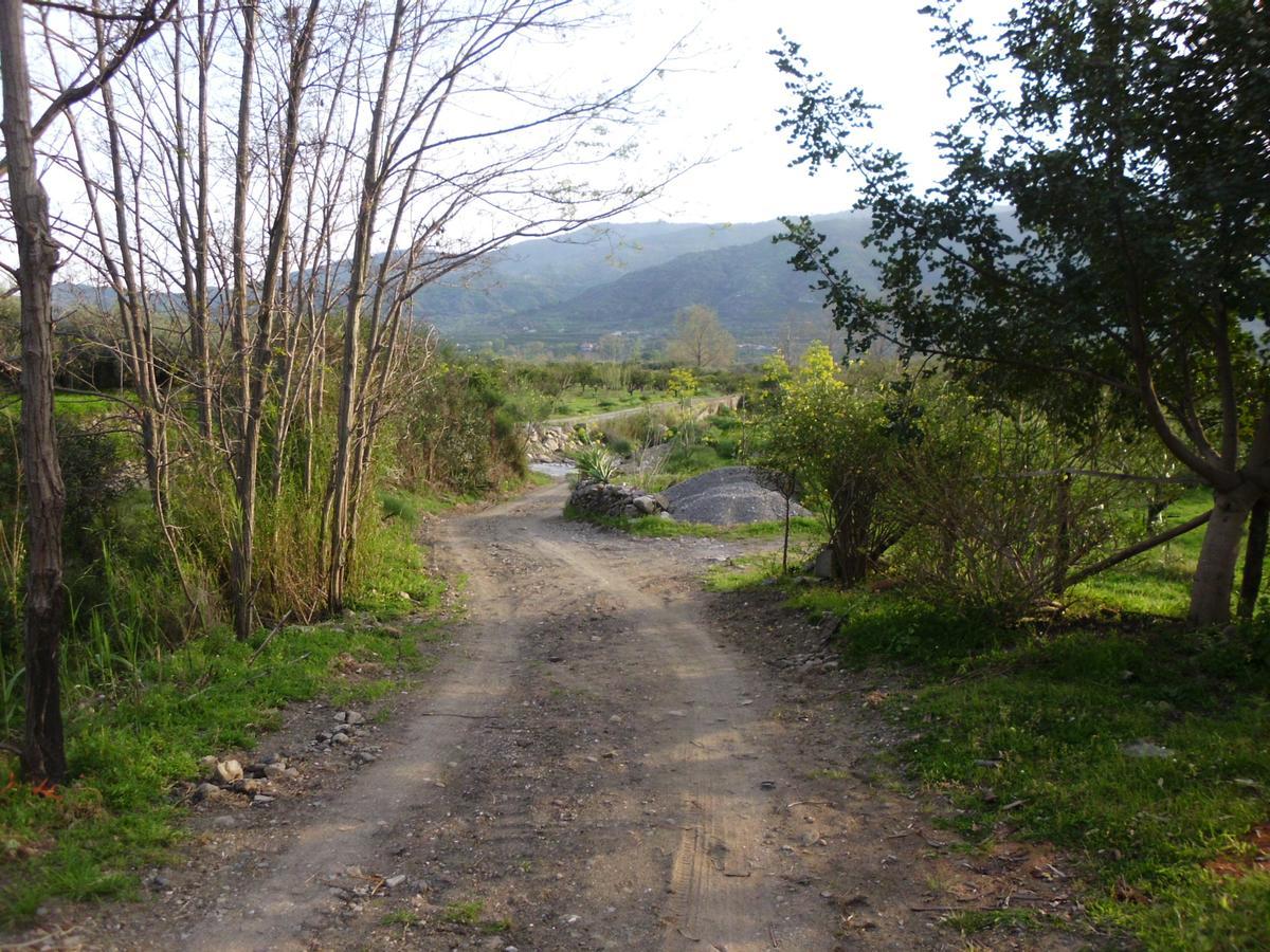 Il Vigneto "Cottage" Gaggi Exterior foto